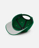 47 Brand Boston Celtics Wooly Clean Up Strapback Kelly