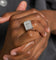 NXS Sanctity Ring Iced White Gold