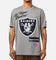 Pro Standard Las Vegas Raiders Fast Lane SJ T-Shirt Grey
