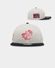 New Era Portland Beavers 'Batter Up' 59FIFTY Fitted Stone