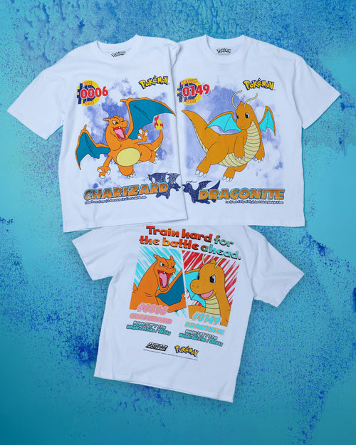 73STUDIO - POKEMON DRAGONITE AND CHARIZARD