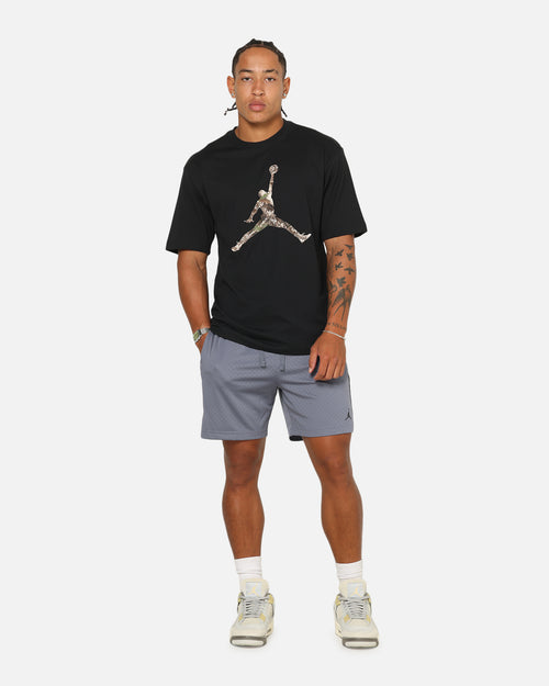 Jordan Sport Jumpman Dri-FIT Mesh Shorts Light Carbon/Black