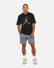 Jordan Sport Jumpman Dri-FIT Mesh Shorts Light Carbon/Black