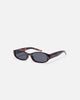 Aire Caellum Sunglasses Dark Tortoise