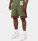 Mitchell & Ness Chicago Bulls Flight Swingman Shorts Olive