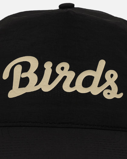 Birds Of Condor Birds Snapback Black