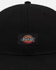 Dickies Carpenter Snapback Graphite