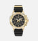 Philipp Plein The Skull Chrono Watch Gold