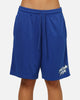 Carre Sideline Basketball Shorts Royal Blue
