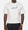 Mitchell & Ness Los Angeles Dodgers National League Crop T-Shirt Silver Marle