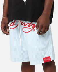 Ed Hardy Beach Shorts Blue Stripe