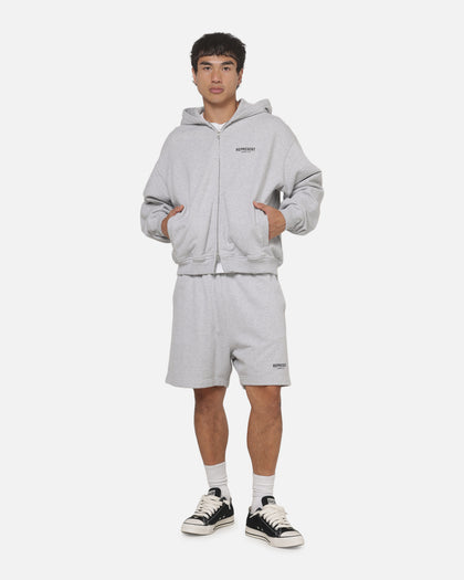 Represent Owners Club Zip Hoodie Ash Grey
