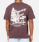 Tommy Jeans Relax Novelty T-Shirt Brown