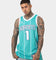 Jordan Charlotte Hornets LaMelo Ball #1 Icon Swingman 22/23 Jersey Rapid Teal