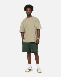 Champion Mineral Wash T-Shirt Stone