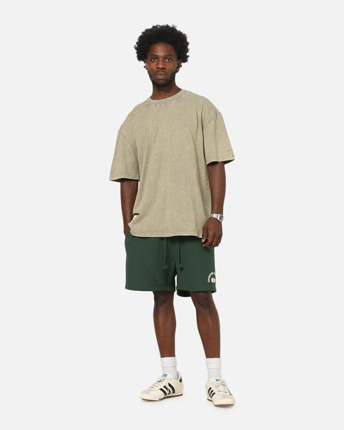 Champion Mineral Wash T-Shirt Stone