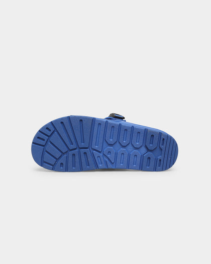 Seichi Yoroi V2 Cobalt Blue