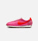 Nike Women's LD-1000 Pink
