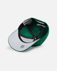 Mitchell & Ness Boston Celtics 'Upside Down Logo' Pro Pinch Snapback Green