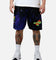 New Era X Space Jam 30th Anniversary Shorts Multi