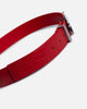 Loiter Star Born Belt Red