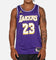 Nike LeBron James Los Angeles Lakers 2025/26 Statement Edition Dri-FIT NBA Swingman Jersey Field Purple