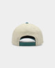 Mitchell & Ness Detroit Pistons Pro Crown Snapback Off White/Teal