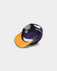 Mitchell & Ness Phoenix Suns 'City Love' Pro Crown Snapback Original Team Colours