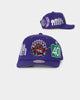 Mitchell & Ness Toronto Raptors 'Highway' Pro Crown Snapback Purple