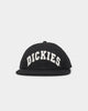 Dickies Princeton Snapback Black