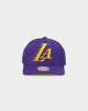 Mitchell & Ness Los Angeles Lakers 'Wool Blend' Snapback Purple