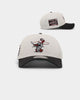 New Era Denver Bears 'Batter Up' 9FORTY A-Frame Snapback Stone