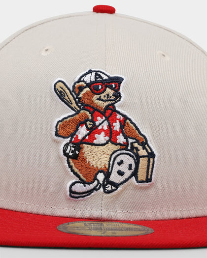 New Era Asheville Tourists 'Batter Up' 59FIFTY Fitted Stone