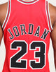 Mitchell & Ness Chicago Bulls Michael Jordan #23 Authentic NBA Jersey Red
