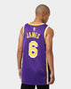 Jordan Los Angeles Lakers LeBron James #6 Statement Jersey Field Purple