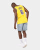 Nike Los Angeles Lakers LeBron James 75th Anniversary #6 Icon Swingman Jersey Amarillo/Field