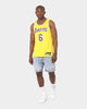 Nike Los Angeles Lakers LeBron James 75th Anniversary #6 Icon Swingman Jersey Amarillo/Field