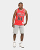 Mitchell & Ness Chicago Bulls Horace Grant #54 '90-'91 Swingman Jersey Red