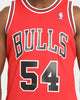 Mitchell & Ness Chicago Bulls Horace Grant #54 '90-'91 Swingman Jersey Red