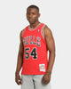 Mitchell & Ness Chicago Bulls Horace Grant #54 '90-'91 Swingman Jersey Red