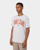 Tommy Jeans TJM Classic Collegiate T-Shirt Silver Grey Heather