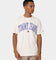 Tommy Jeans TJM Classic Collegiate T-Shirt Ancient White