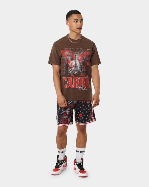 Carré Autumn Vintage T-Shirt Washed Brown