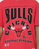 Mitchell & Ness Chicago Bulls Division Arch T-Shirt Faded Red