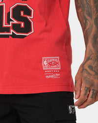 Mitchell & Ness Chicago Bulls Champion History Vintage T-Shirt Faded Red