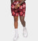 XXIII Sohan Print Shorts Brown