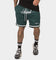 Saint Morta Saviour Mesh Basketball Shorts Stadium Green