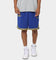 Nike Golden State Warriors Courtside Nike Dri-FIT NBA Shorts Rush Blue