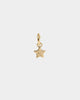 Wild for the Weekend pop punk star earring set Gold