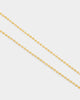 NXS Dog Tag Necklace Gold